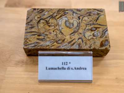 ...e quella di Sant�Andrea dallo sfondo ocra con inclusioni fossili grigie e nere